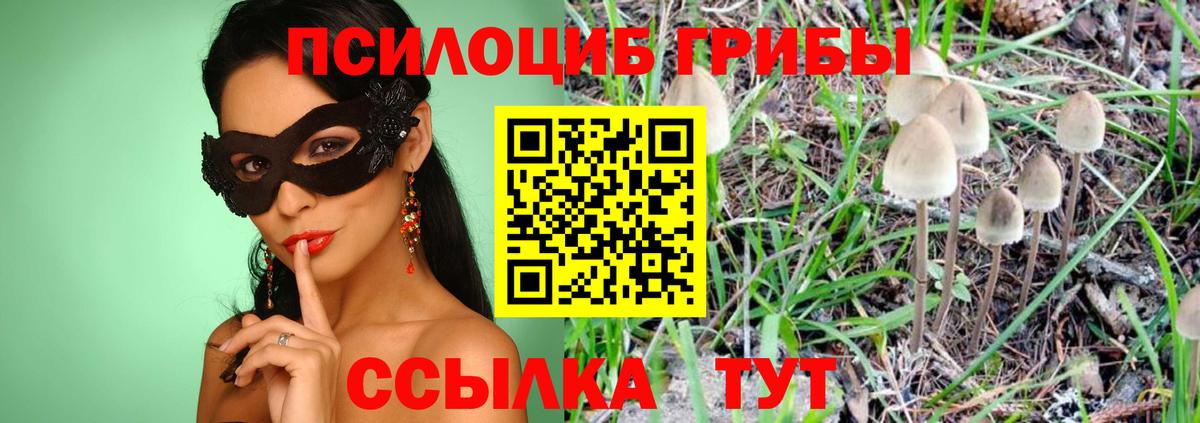 Нягань  Галлюциногенные грибы MAGIC MUSHROOMS  Вход с VPN  Галлюциногенные грибы Magic Shrooms 